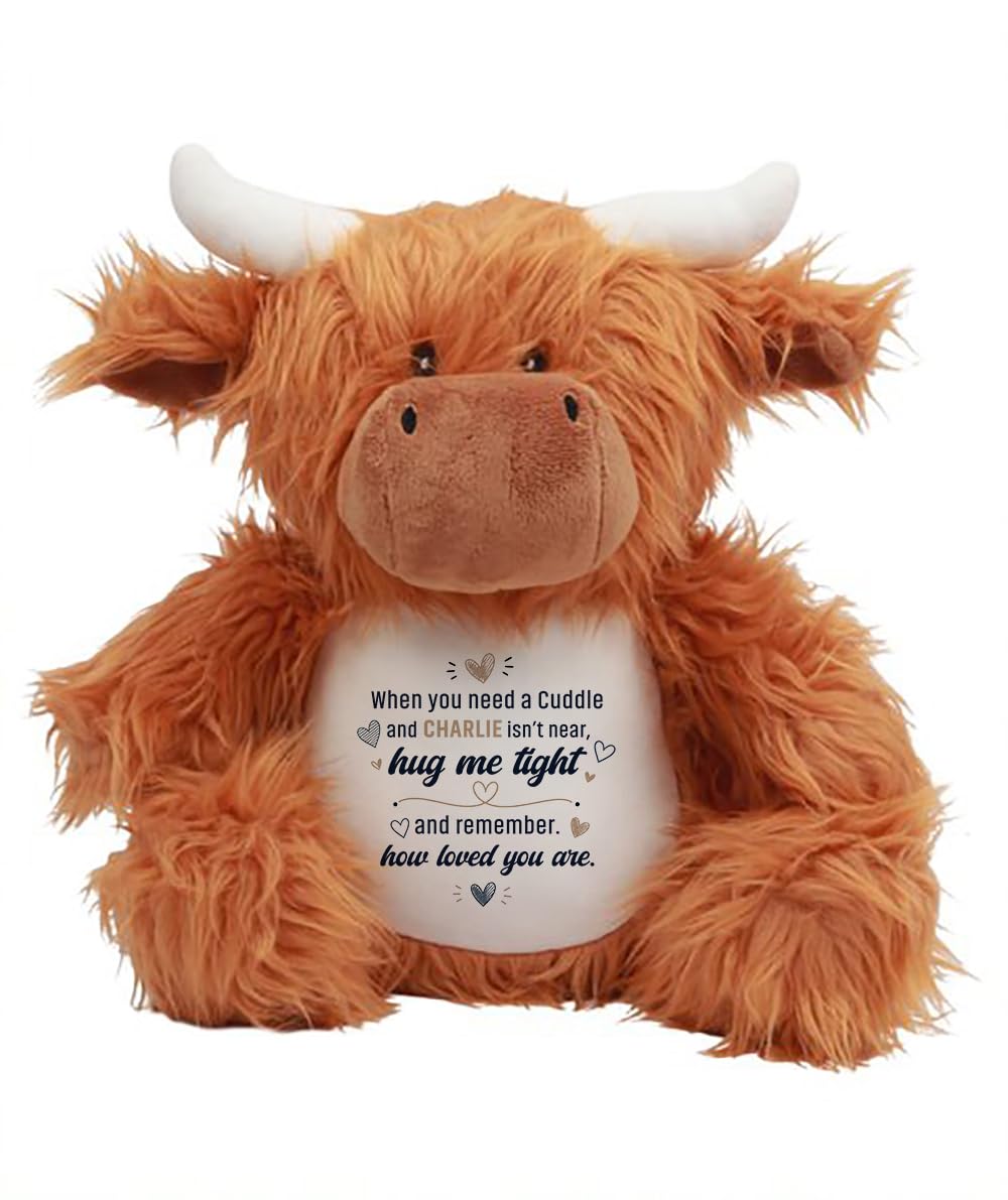 Getagift Personalised When You Need a Cuddle Hug Gift, Custom Name Keepsake Gift for Loved Ones, Long-Distance Relationship Birthday Plush Toy | Soft Toys Teddy., Highland Cow
