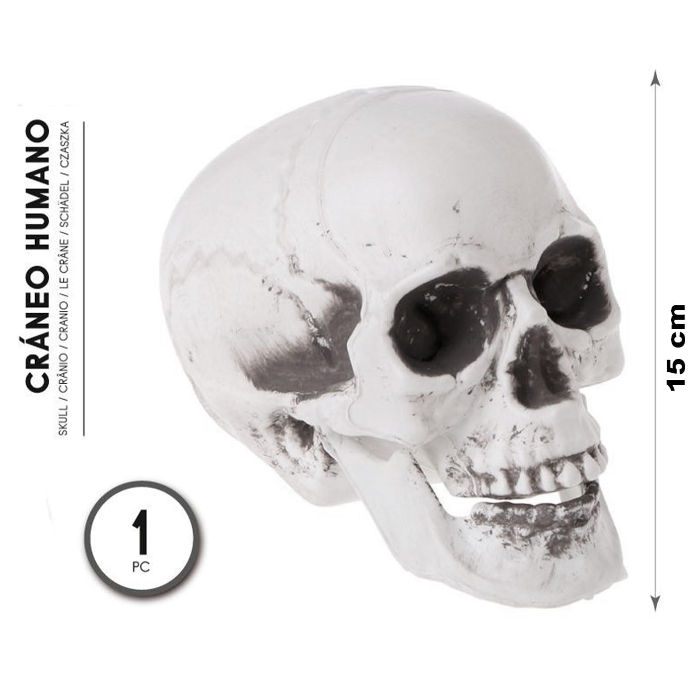Tradineur - Pack de 6 Calavera para Halloween, plástico, cráneo, decoración de interior, carnaval, fiestas, celebraciones, 15 cm