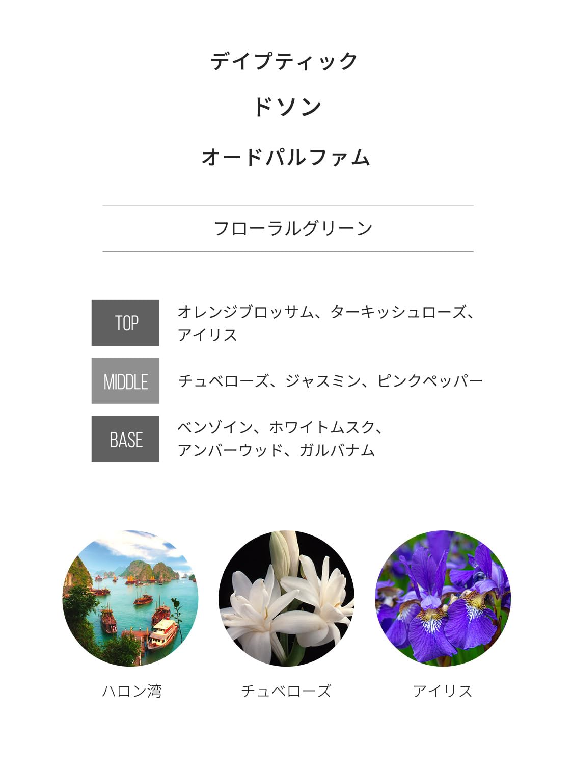 Amazon | DP 香水 ディスカバリーセット オルフェオン ドソン フルール