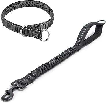 Reflective Slip Dog Collar+Bungee Dog Leash Extender for Dogs Training Walking Suitable for Dogs Weight 44-75 lbs