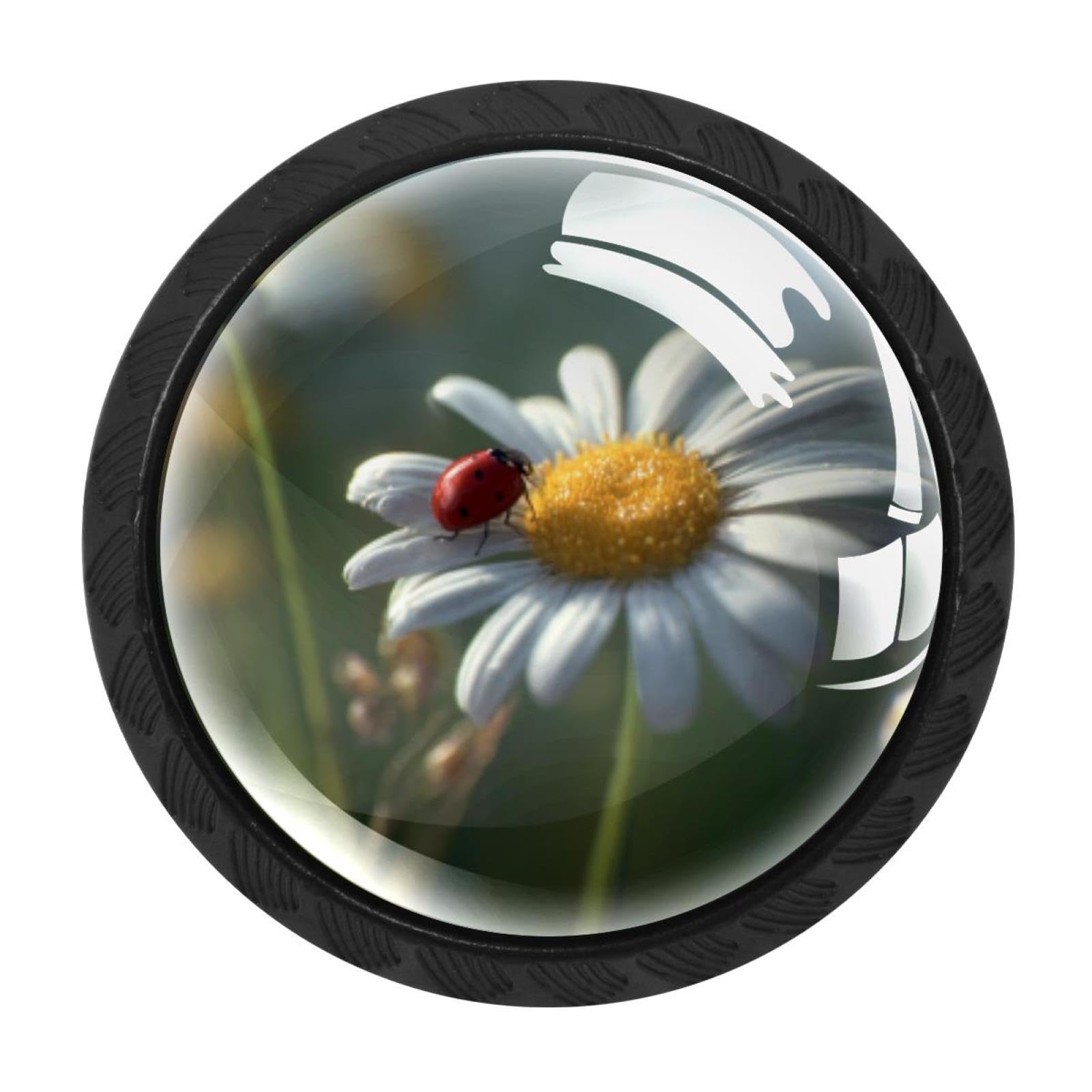 CHENZZZZ Daisy and Ladybug (1) Colorful Drawer Pulls 4 Pcs Handle Glass Door Cabinet Knobs Home Office Kitchen Wardrobe Cupboard Hardware for Dresser Drawers