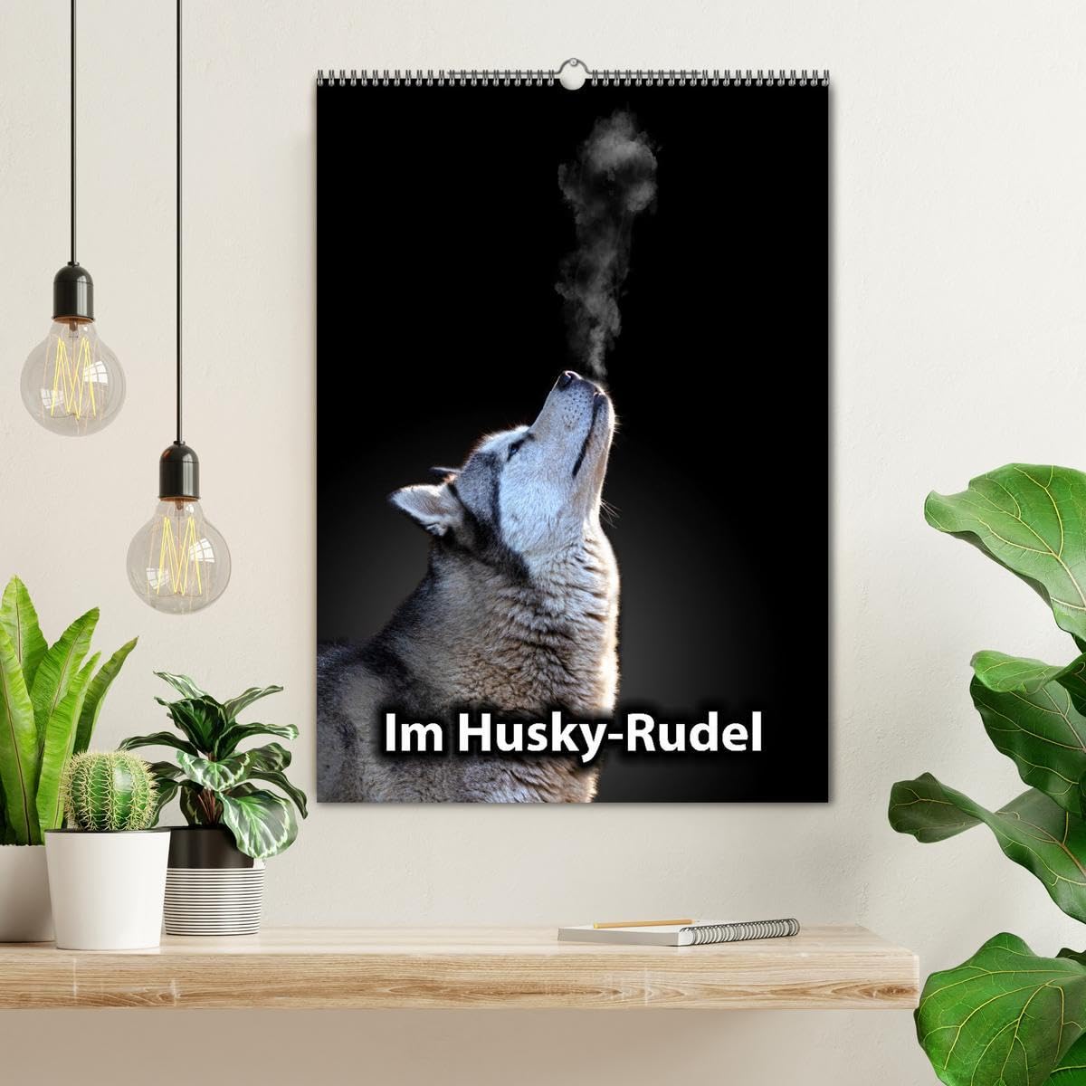 Im Husky-Rudel (Wandkalender 2026 DIN A2 hoch), CALVENDO Monatskalender: Eine charakteristische Bilderserie, die das friedvolle und spielerische ... von Huskies dokumentiert. (CALVENDO Tiere)