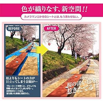 カラーブルーシート(ベージュ) Amazon | [日本製]ブルーシート ニュアンスカラー レジャー