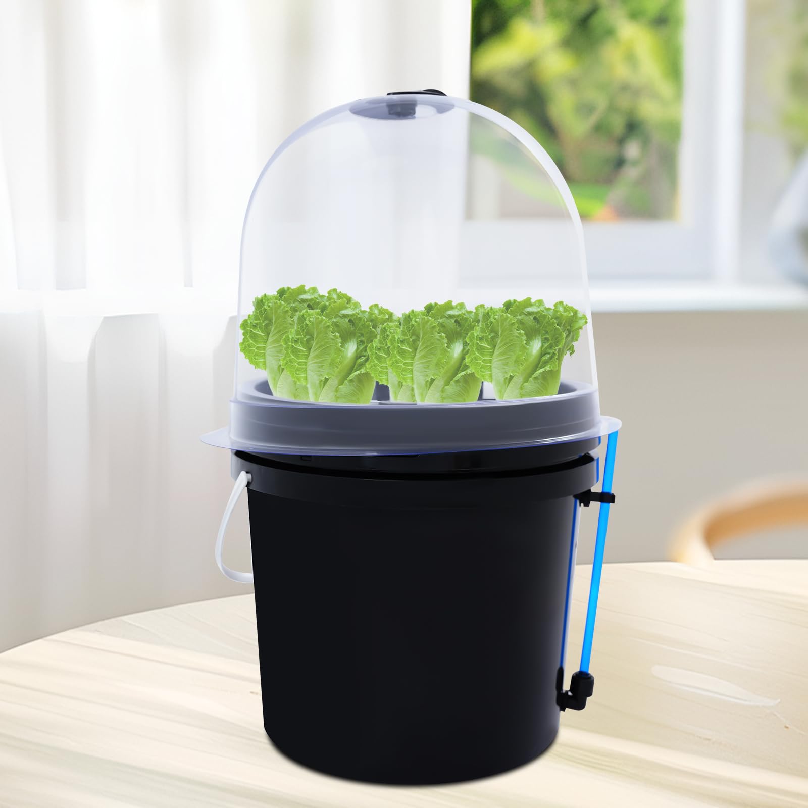 Hydroponic Box 8 agujeros con temporizador, equipo hidropónico, sistema de crecimiento de plantas aeroponía para verduras y flores, 27 x 27 x 29 cm, incluye macetas de red y espumas