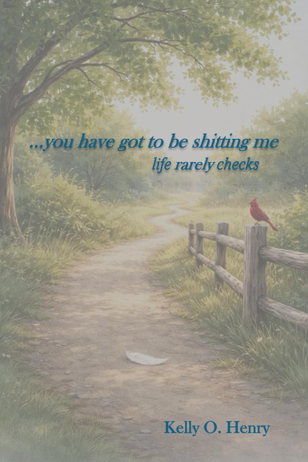 you have got to be shitting me: life rarely checks