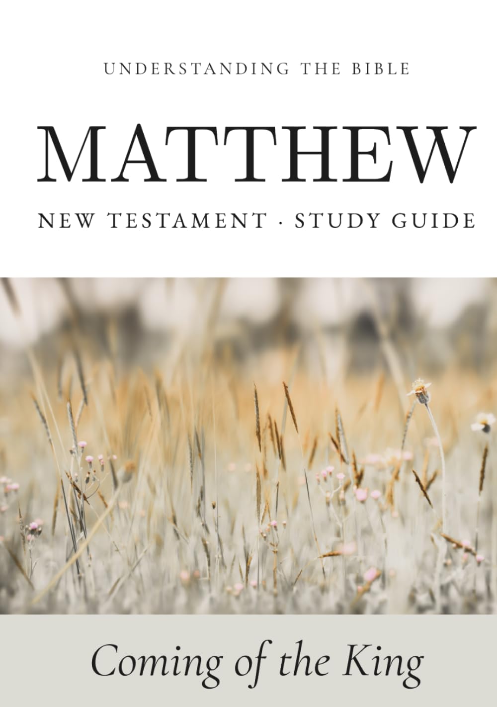Understanding the Bible — Matthew: Interactive Gospel of Matthew Workbook — New Testament Study Guide for Beginners and Small Groups (Bible Study Guides: Book‑by‑Book)