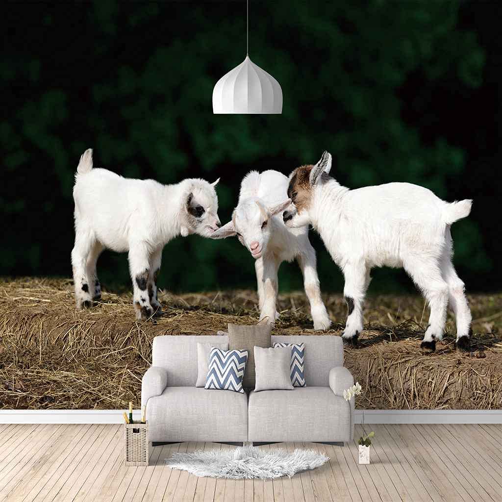 Papier peint toile mouton blanc 200x140 cm pour salon