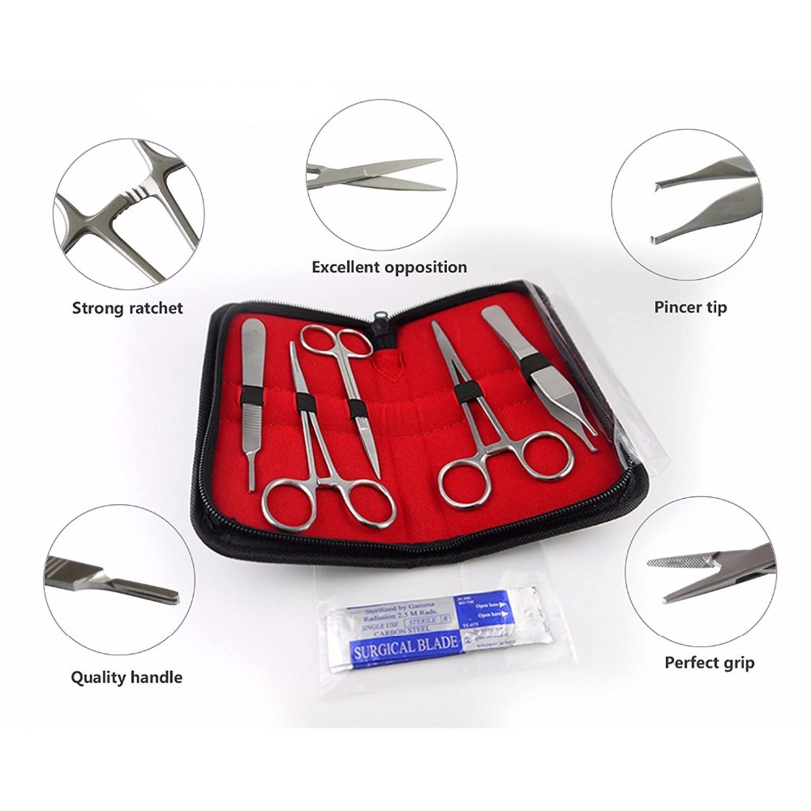 Amazon.co.jp: ステンレス鋼解剖ツール、10個の生物学実験室解剖学解剖