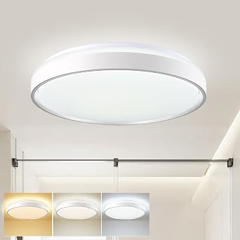 DINGLILIGHTING LED Ceiling Lights with Remote Control, 32W 2550lm Dimmable Ceiling Light, Round LED Flush Mount Ceiling Light for Bedroom Living Room Kitchen Hallway Office,Sliver [Energy Class G]
