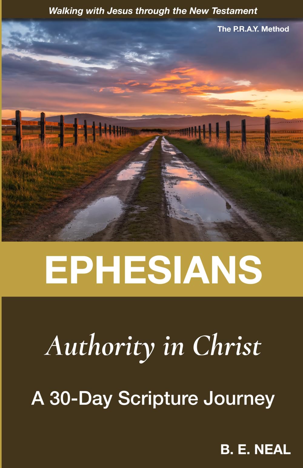 Ephesians - Authority in Christ: A 30-Day Scripture Journey (Walking with Jesus Through the New Testament)