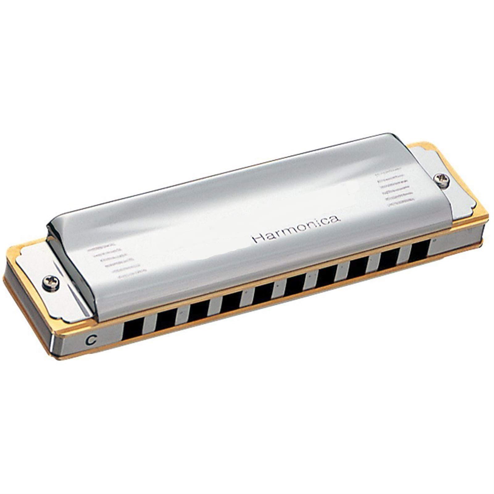 Armonica Diatonica Rayzm - 10 Fori 20 Toni - Blues, Folk, Country - Con Custia Rigida - Foto 4