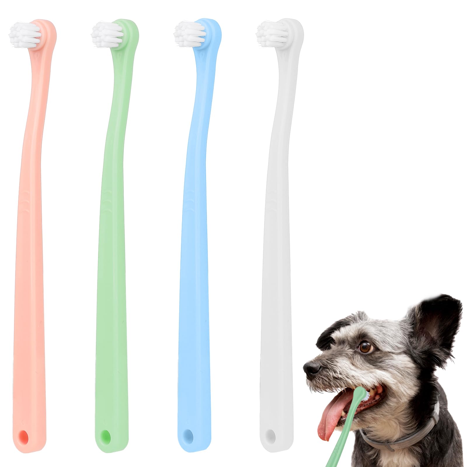 Lot De 2 Brosses à Dents Pour Chien Et Chat - Tête Mini Souple, Poils En Nylon, Longueur 16,4 Cm - Nettoyage Dentaire En Profondeur
