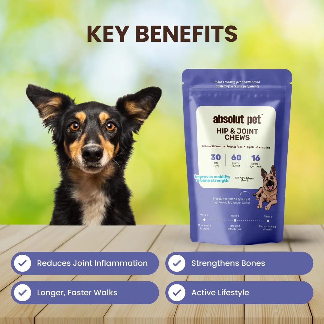 Absolut Pet Hip and Joint-Supplements for Dogs Chews that Improve Mobility & Bone Strength with Glucosamine, Chondroitin & Collagen (30 Chews)