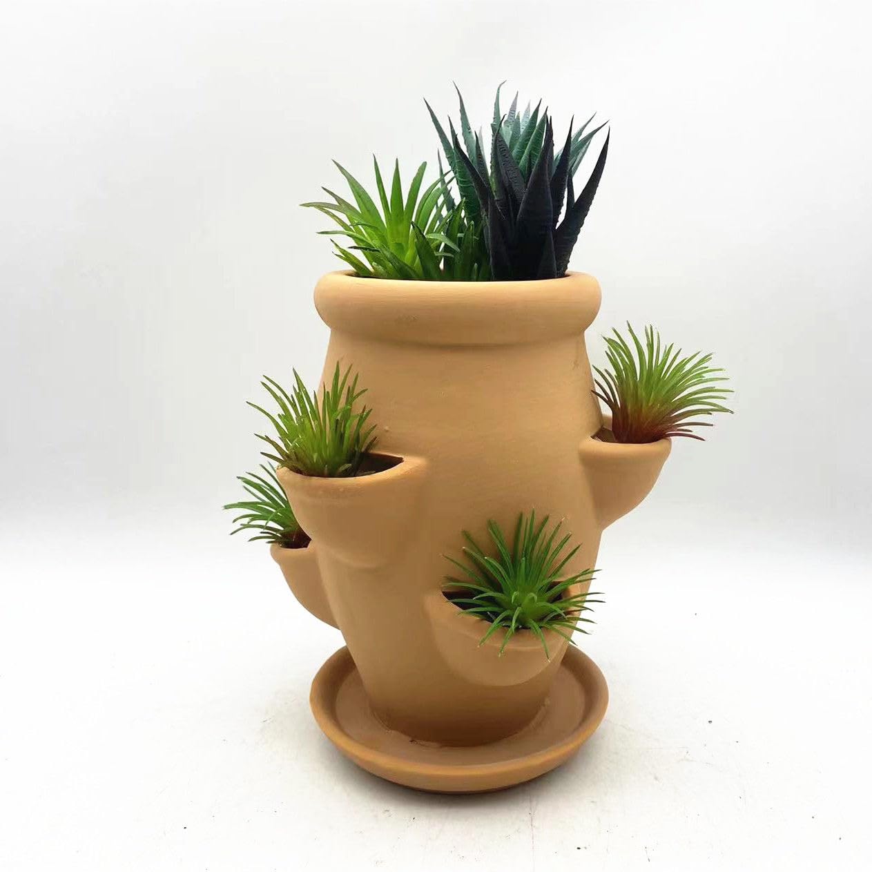 Amazon.com : RISEON Six Pocket Terra Cotta Strawberry Jam Planter