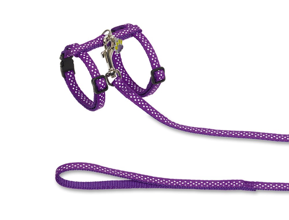 Nobby Dots Collar/Leash Set, Purple