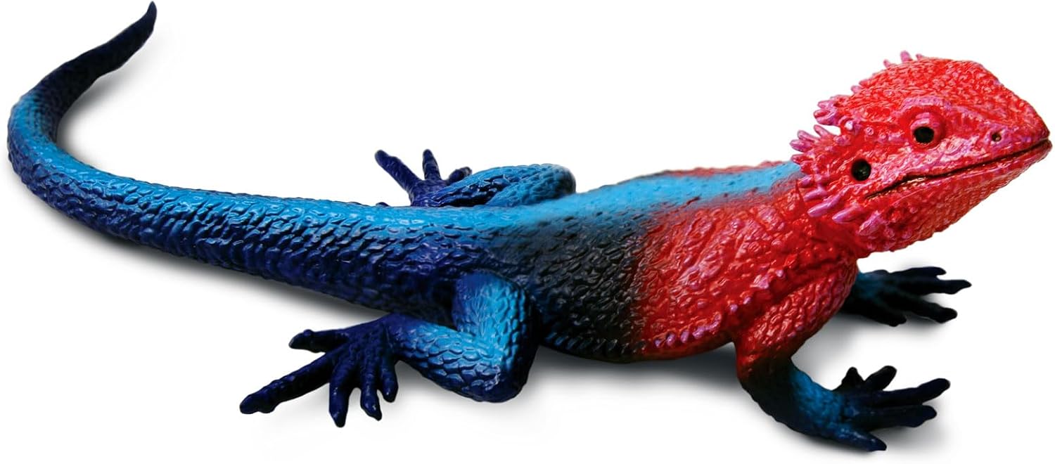 Safari Ltd. Mwanza Flat-Headed Rock Agama Lizard Figurine - Detailed 9.5" Plastic Model Figure - Fun Educational Toy for Boys, Girls & Kids Ages 3+