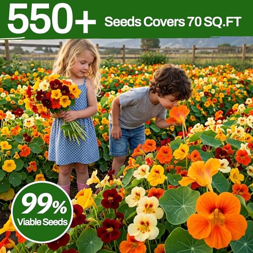 LUOJIBIE Nasturtium Seeds, 550+ Mixed Colors Large Blooms Seeds Bulk Pack, Nasturtium Seeds for Planting 2026, High Germination Non-GMO, Wildflower Seeds for Planting Indoor Outdoor, Open Pollinated — view 3