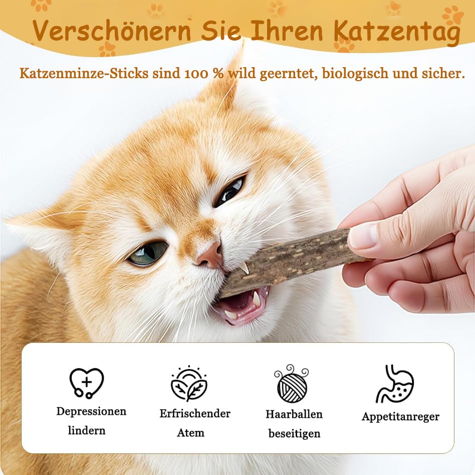Vunpok 10 Stück Katzenminze Sticks, Katzenminze Spielzeug, Kauholz für Katzen, Gegen Mundgeruch, Kauspielzeug für Zahnpflege und gesunde Kaugewohnheiten
