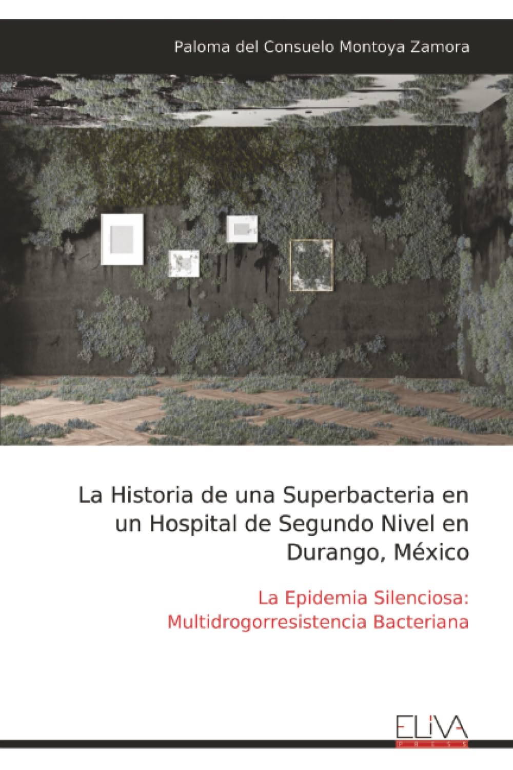 La Historia de una Superbacteria en un Hospital de Segundo Nivel en Durango, México: La Epidemia Silenciosa: Multidrogorresistencia Bacteriana