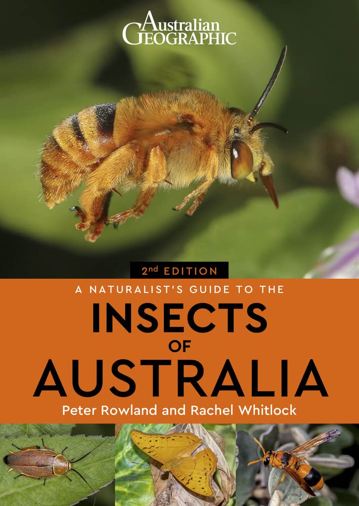 A Naturalist's Guide to the Insects of Australia by Peter Rowland PAPERBACK