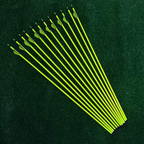 Sososhoot 12Pcs 31'' Pure Carbon Arrows with Replaceable Points for Recurve Bow and Compound Bow Archery Hunting and Target Practice