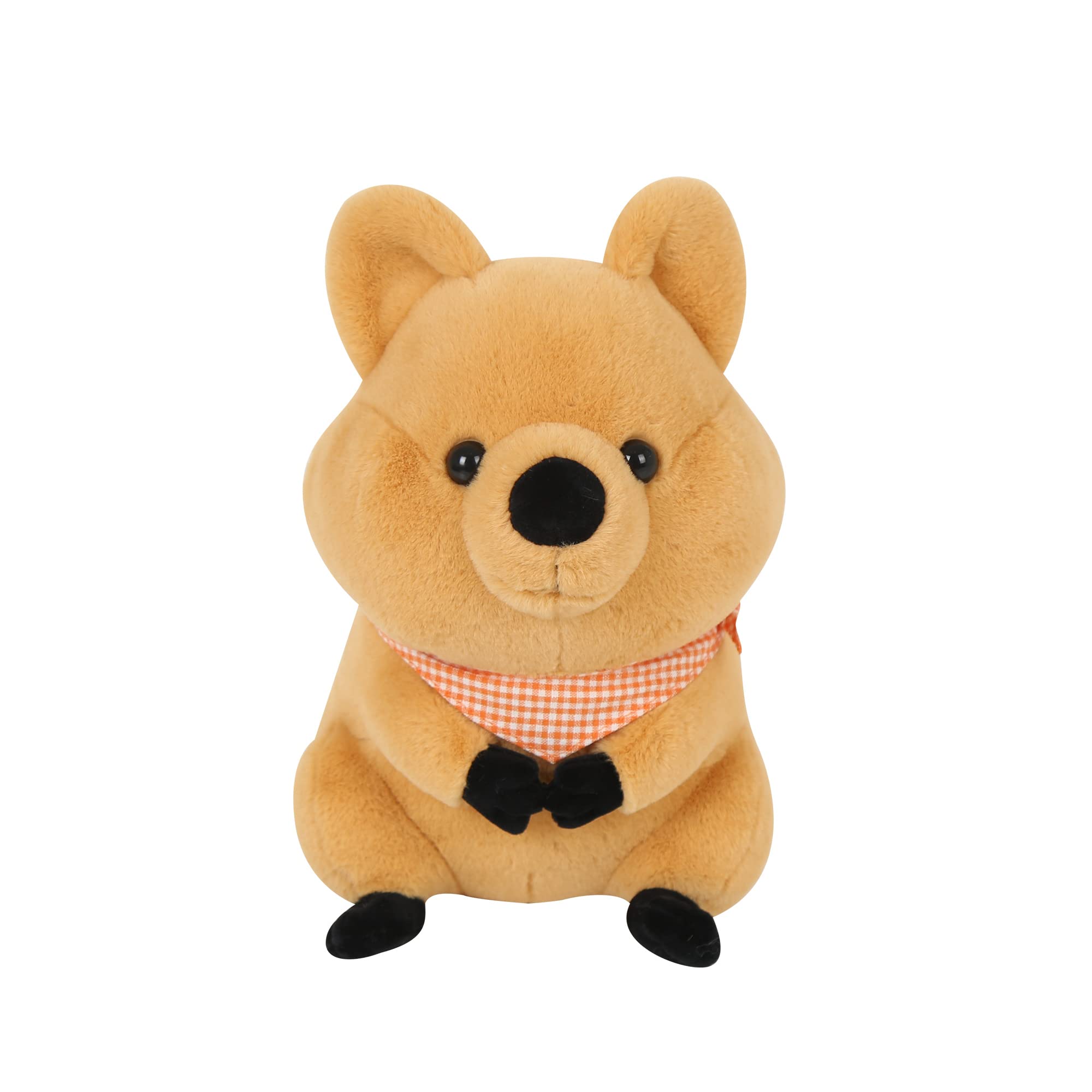 Kiki 動物園 ぬいぐるみセット Amazon.co.jp: キキクオッカ（KiKi QUOKKA）ぬいぐるみMサイズ (キキ