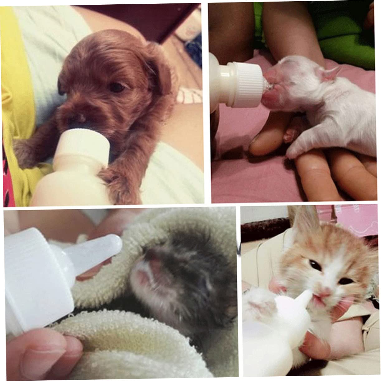 SEWOART Pet Nurser Bottles 4 Pcs Set 50ml Feeding Bottle for Kittens/Puppies Silicone Material Portable