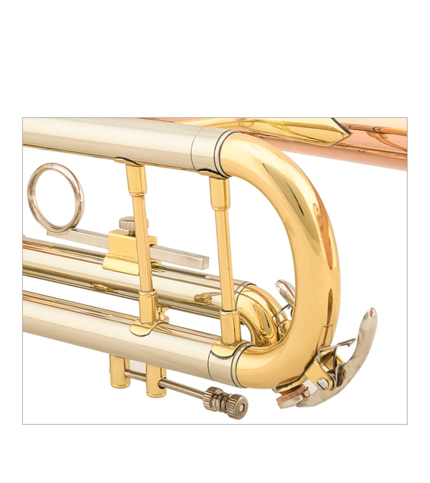 Professionisti tromba Tromba In Si Bemolle Strumento A Fiato Per Principianti Tromba In Bronzo Fosforoso 2 Pezzi Stampati
