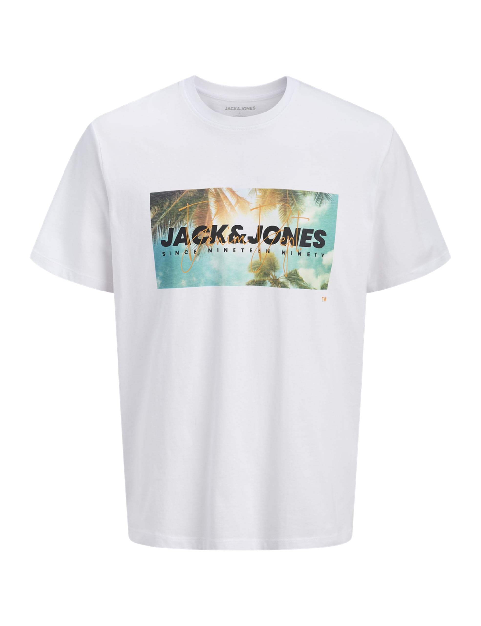 JACK & JONES Jjindiana Tee SS Crew Neck Mężczyźni Jjindiana Tee Ss Crew Neck (1 w zestawie)