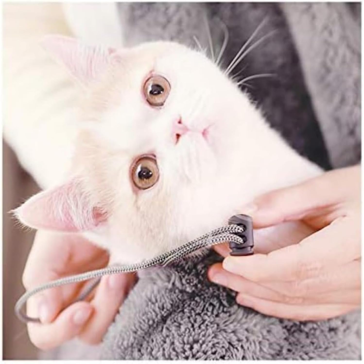 ペット 猫 寝袋 かわいい エプロン ポケット かわいい カンガルー ポーチ 毛玉防止 あったか毛布 防風 あったか毛布