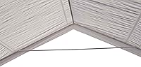 Vista 6 de Impact Canopy, toldo abierto para eventos de 20 x20 x12 pies (8 piernas), portable, ideal para fiestas y bodas