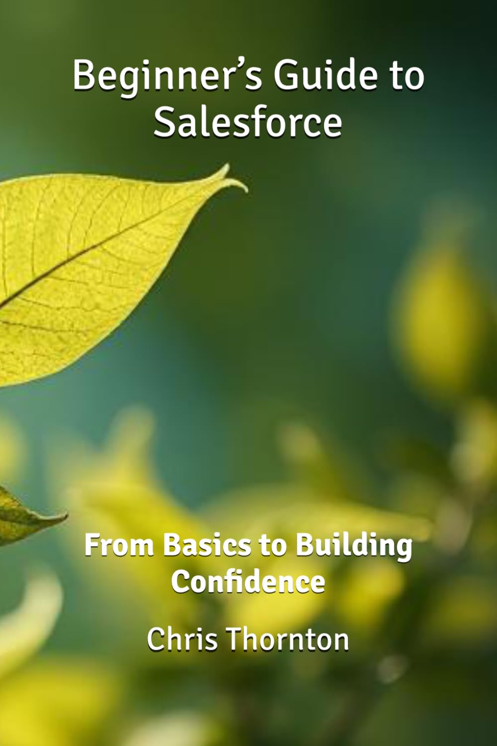 Beginner’s Guide to Salesforce: From Basics to Building Confidence
