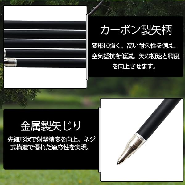 OAEZAEY 大人用31インチカーボン矢セット 矢の剛性600、アーチェリー用練習矢 リカーブ弓・コンパウンド弓・伝統弓対応 脱着式先端部 (12本入り) - 4