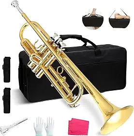Trompete, Conjunto de Trompete Padrão para Iniciantes, Instrumento de Trompete de Latão (Ouro), com Bocal 7C, Pano de Limpeza, Luvas E Estojo de Transporte Rígido (Preto)