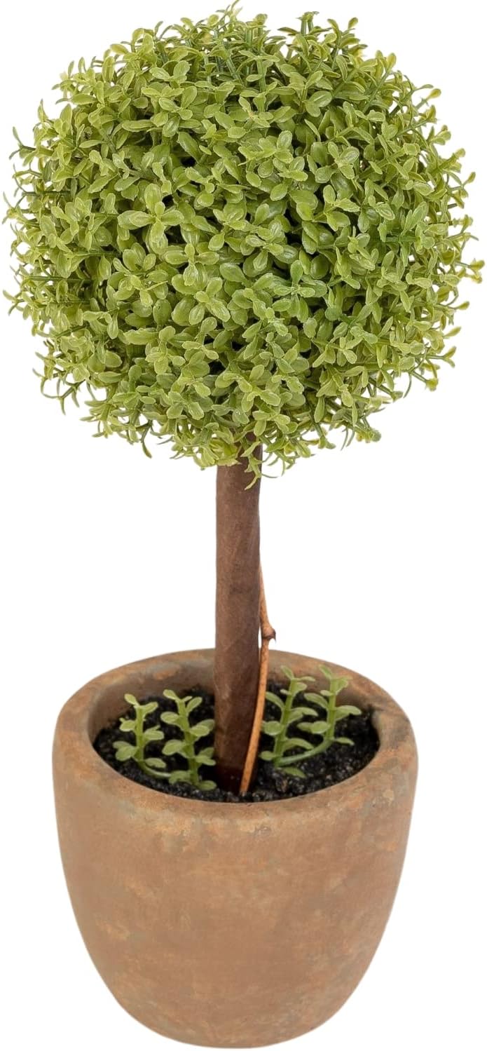 観葉植物 光触媒 キレイな空気を実感 人