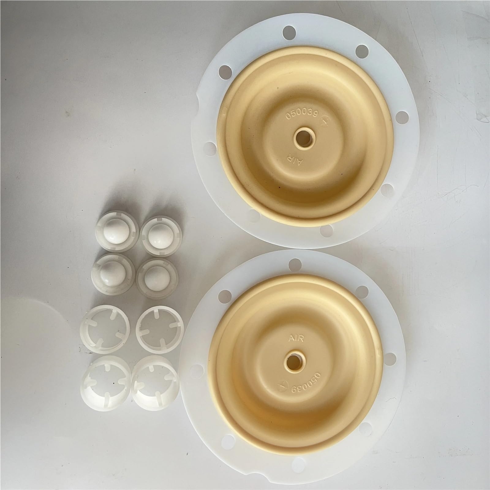 Pompa idraulica a Membrana, Pompa for Acqua a Doppia Membrana azionata pneumaticamente in Polipropilene da 1/2" di Pollice