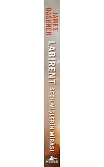 Labirent: Seçilmişlerin Mirası