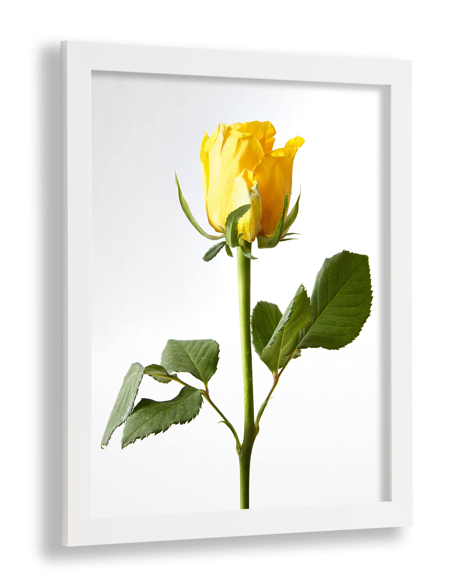 VO design Benno Bilderrahmen Posterrahmen passend für 71x98 cm Weiss Matt