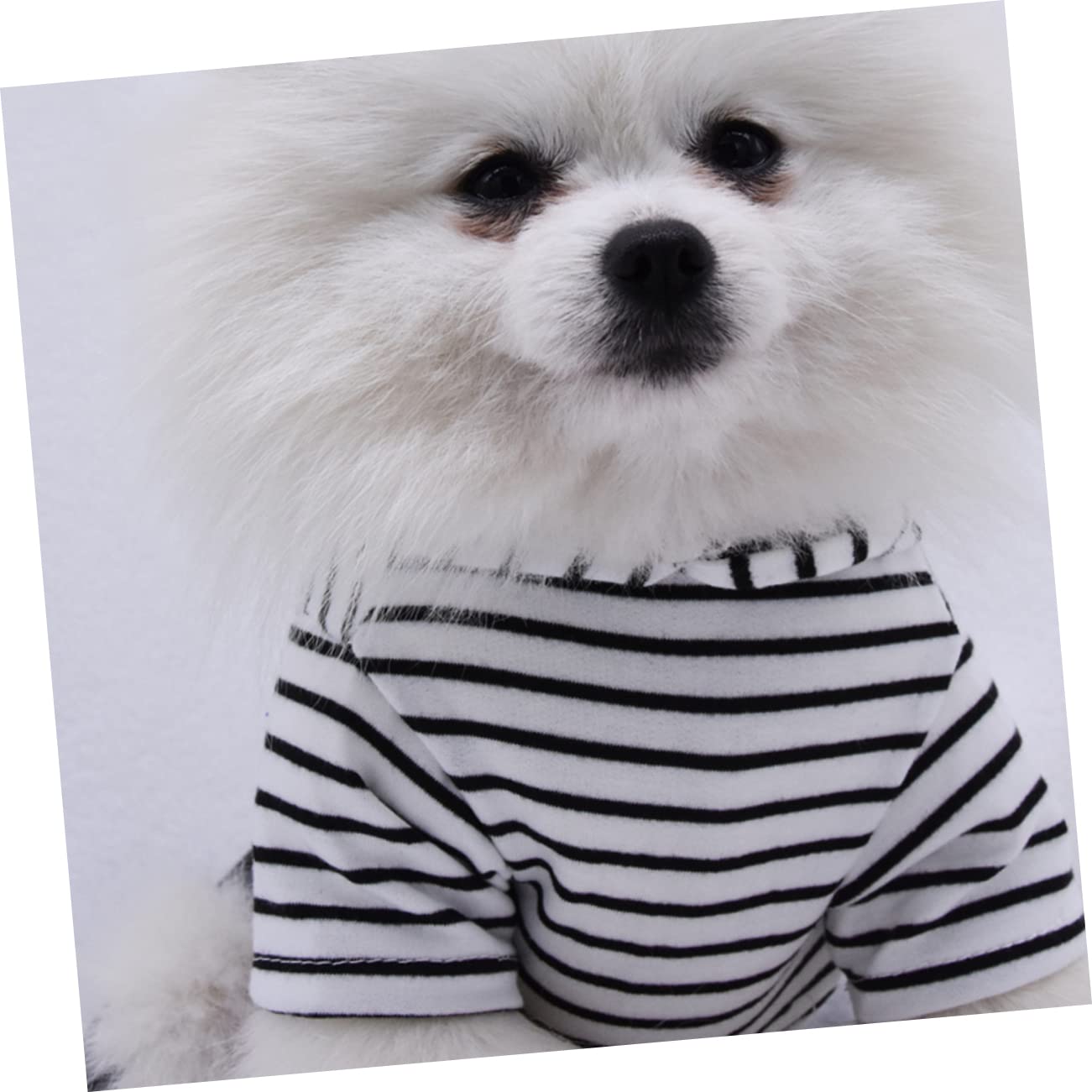 YARNOW 3 Pz costume da cane costume da compagnia vestiti sgargianti giubbotto per cane abbigliamento cane bretella per cani vestiti per cani tenere caldo Tuta da lavoro vestiti del cane