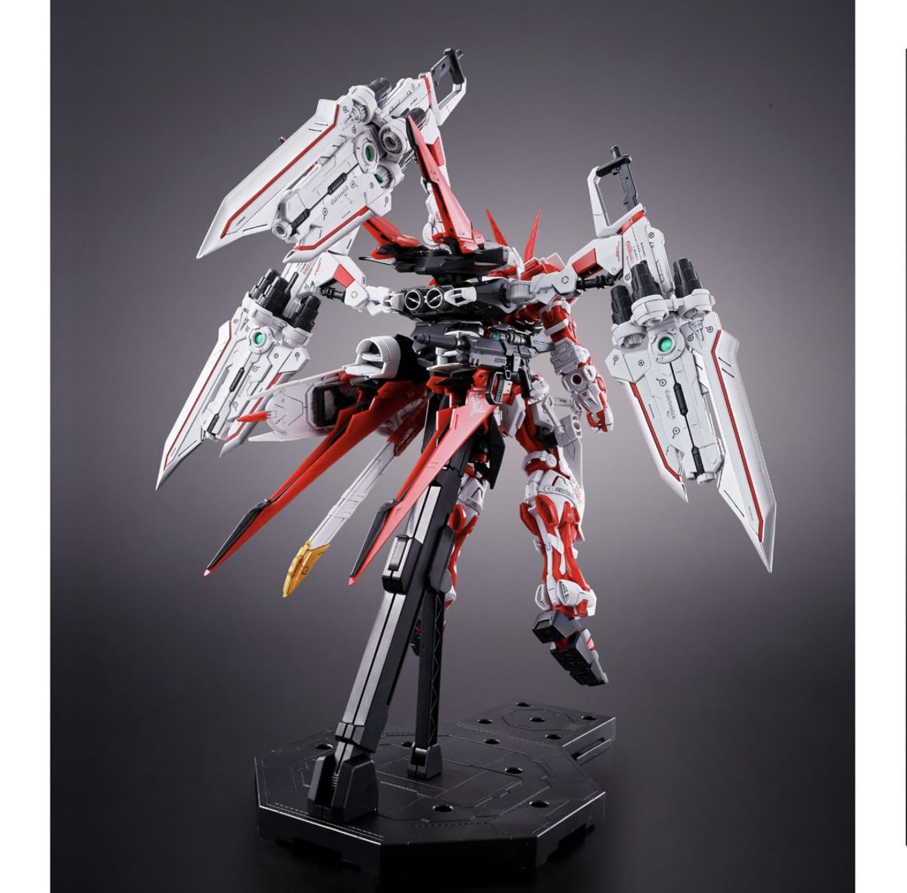 医龍2 Amazon.com: BANDAI 1/100 MG MBF-P02 鋼彈Astray 紅龍: 藝術