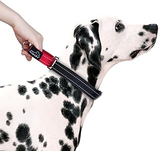 Amazon Co Jp 人気の中型犬 首輪ランキング