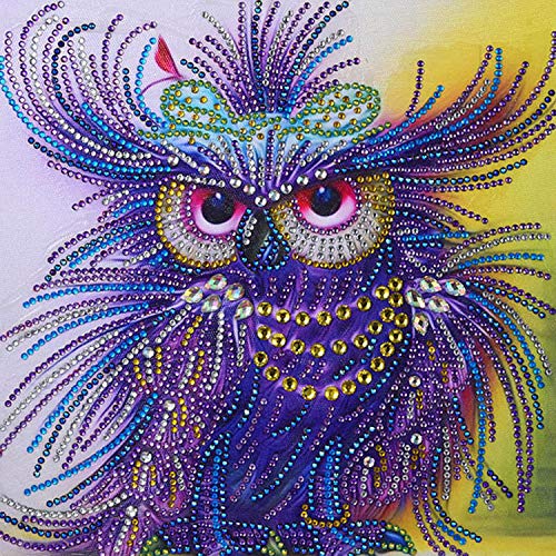 5D Diamond Painting Kit,DIY Special Shaped Diamond Painting Resin Crystal Cross Stitch Arts Craft for Wall Decor (Owl)
