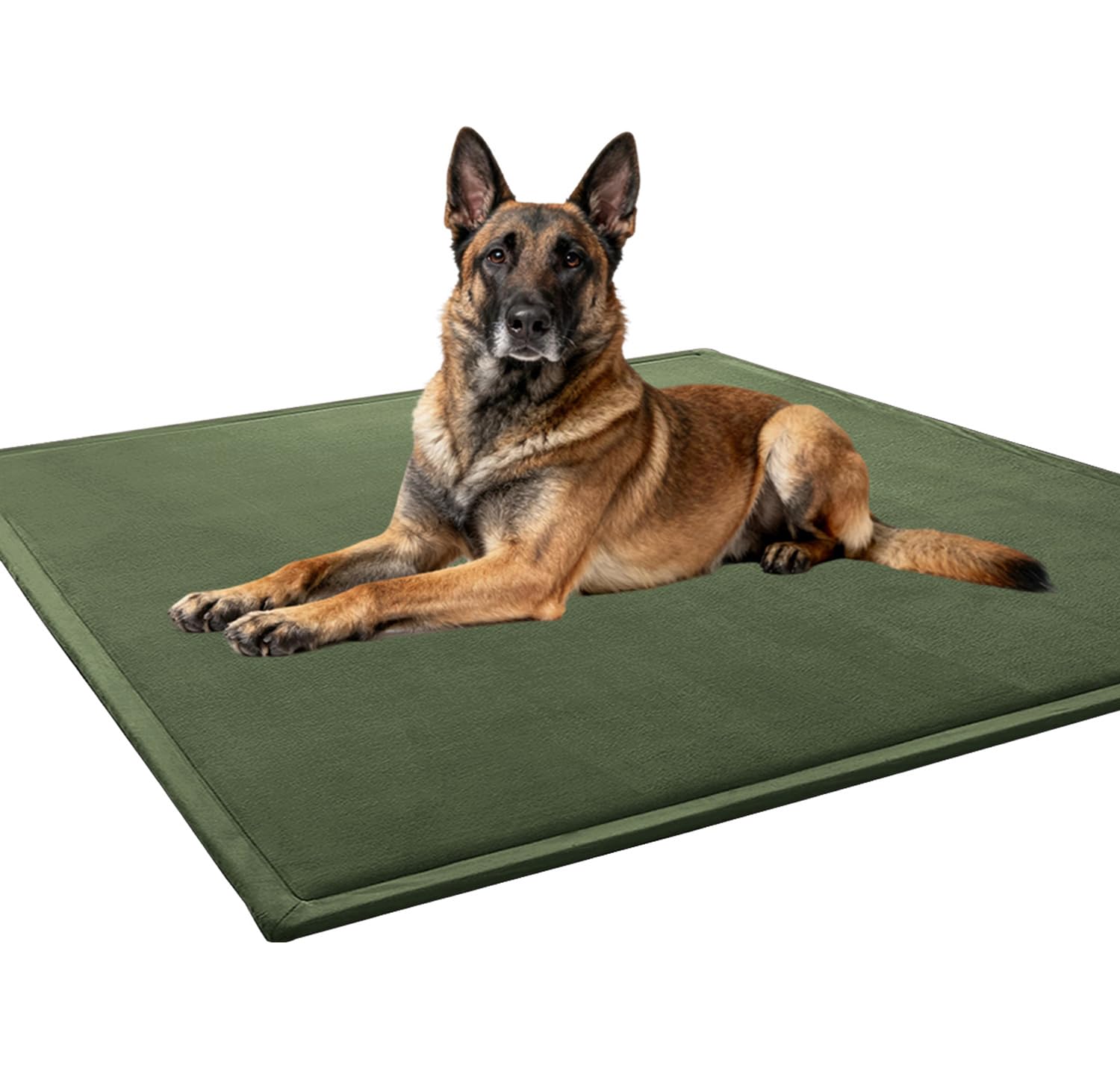 Tapis de couchage lavable pour grand chien vert foncé 150x150cm