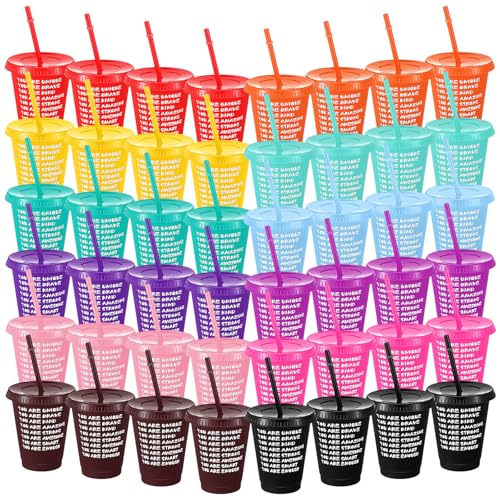 Sliner 48 Piece End of Year Gifts Cups Bulk 16 oz Colorful Tumbler with Straw and Lid Plastic Reusable Cups Inspirational Year End Preschool Kindergarten Graduation Gifts for Students from Teacher