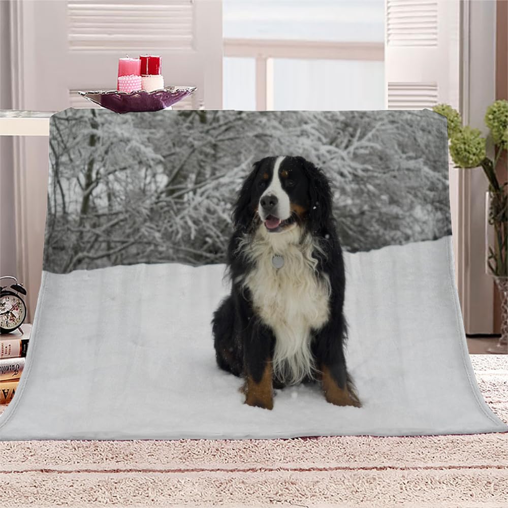 Douce Flanelle Couverture Polaire 3D Chien Montagne Bernois Microfibre Fluffy Couverture de literie 2 Personne Chien Compagnie Enfant Adultes Fille Garcon Sherpa Couverture de canapé 150x200cm