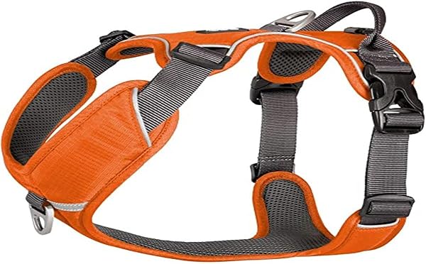Doc Copenhagen, Comfort Walk Pro Harness, Orange Sun, L, (V1) - 1