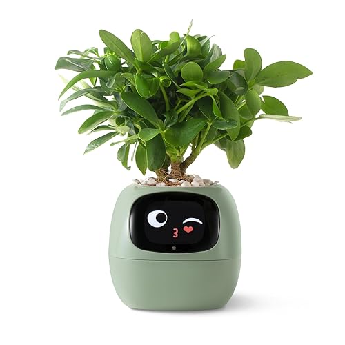 PLANTSIO Smart pet Planter Robot Guidance on Plant Care with Emojis, Adorable Plant Companion with Rich Gesture Interaction, Neat Desk Setup Gift (Green) - Green