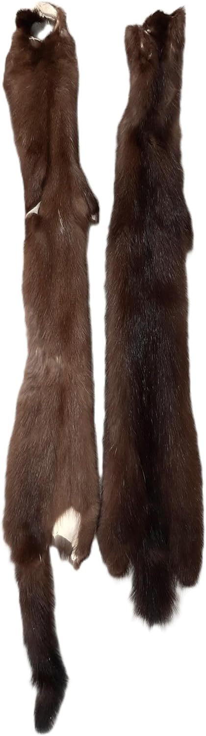 Furs Female Wild American Mink : Premium Grade - Genuine Real Fur Pelt/Hide, Tanned for Sewing, Display, Decoration, Garnment, and Crafting - 25" Length Average