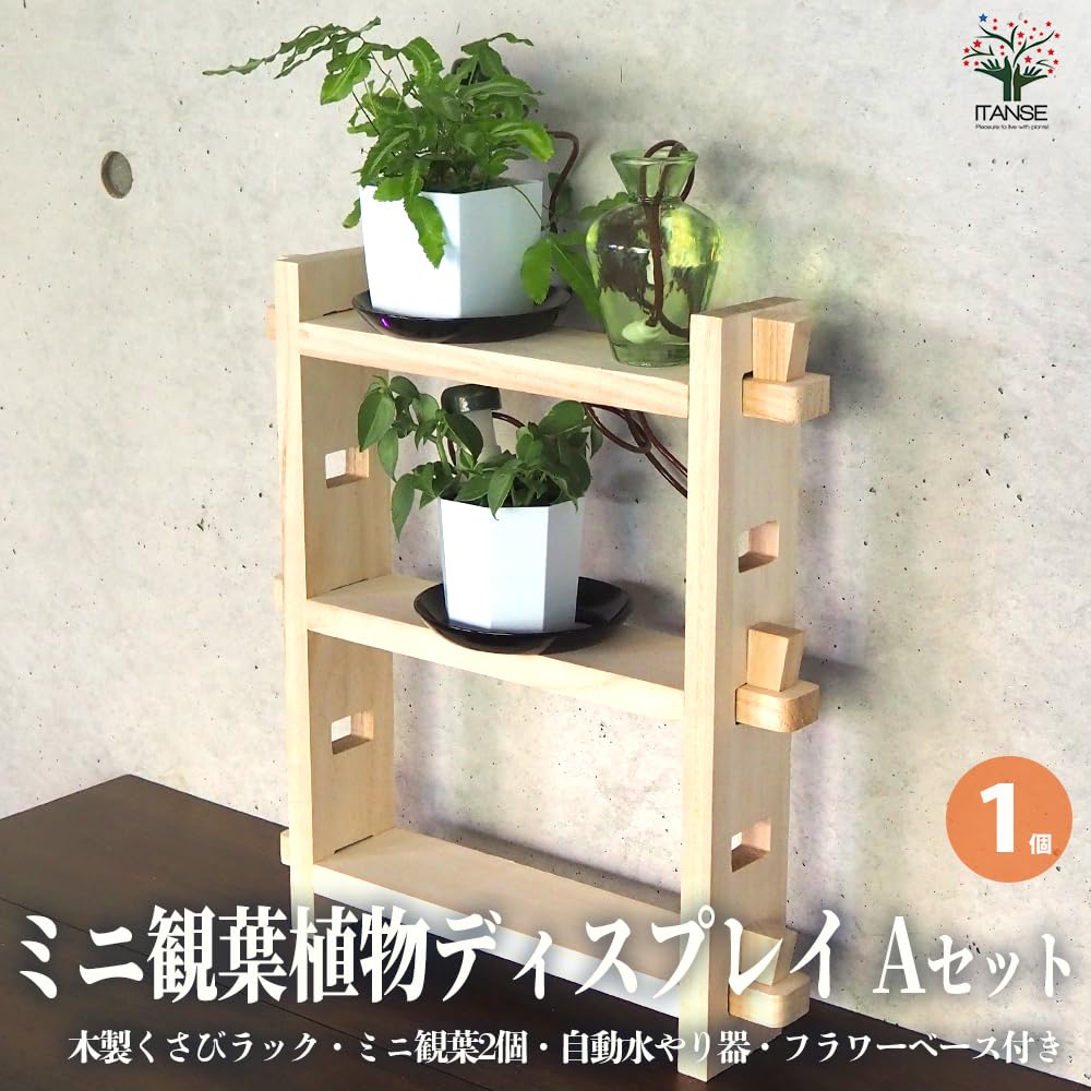 Amazon.co.jp: ITANSE 木製くさびラックAセット(ミニ観葉2個+