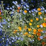 Eden Brothers Native Western Xeriscape Flower Seed Mix, 1oz, 16 Drought Tolerant Wild Flower Seed Varieties, 100% Pure No Fillers,Native Seeds for Planting Outdoors,Attracts Pollinators & Hummingbirds